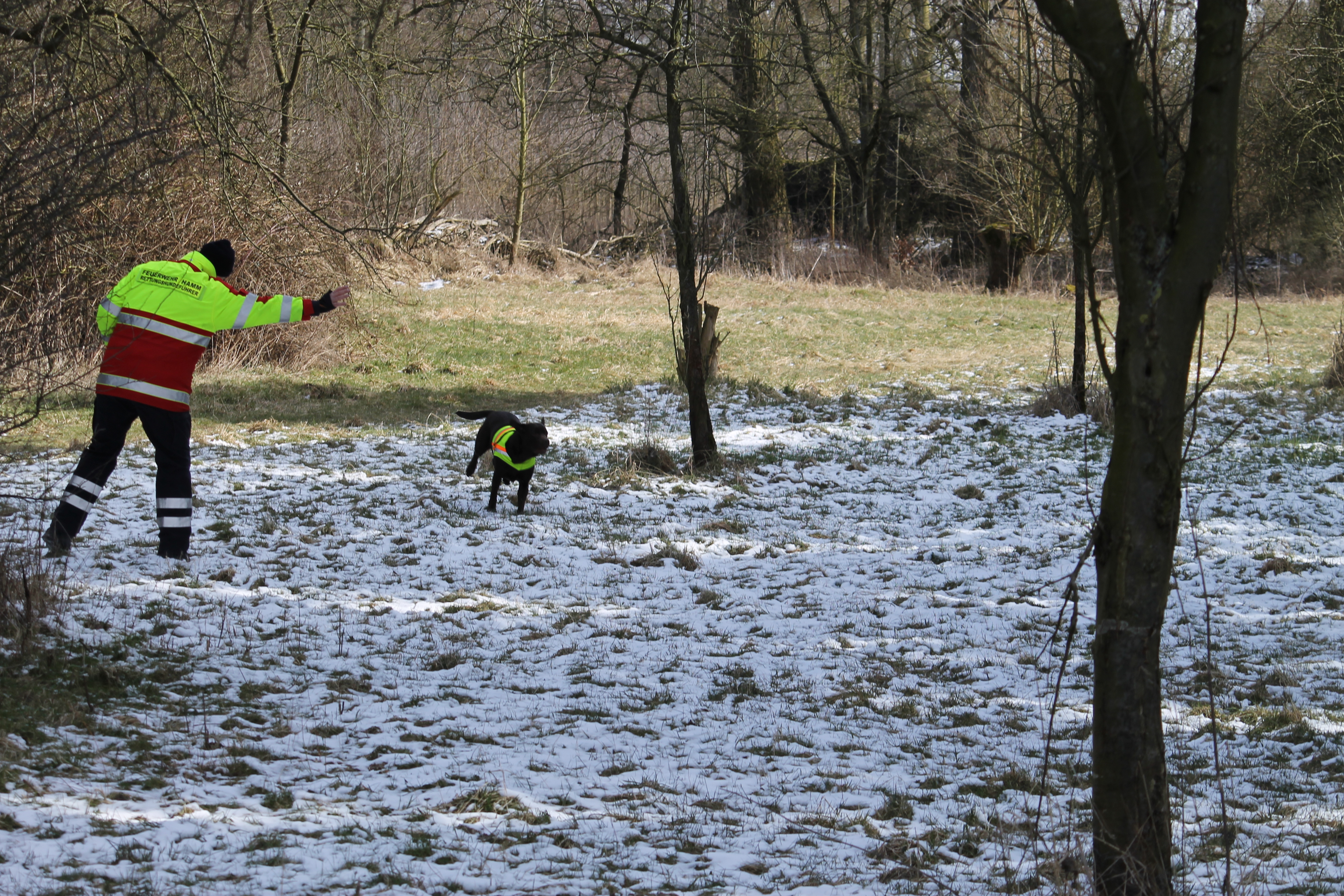 Flächensuche mit Hund
