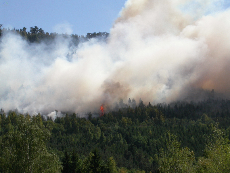 Waldbrand